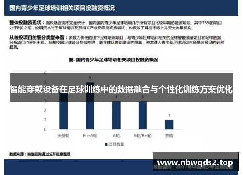 智能穿戴设备在足球训练中的数据融合与个性化训练方案优化